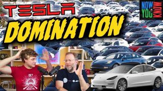 Tesla Domination - I dybden